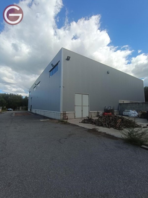 locale commerciale in affitto a Taurianova