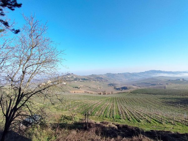 appartamento in affitto a Castel Rocchero