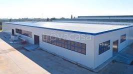 locale commerciale in affitto ad Alcamo in zona Centro Città