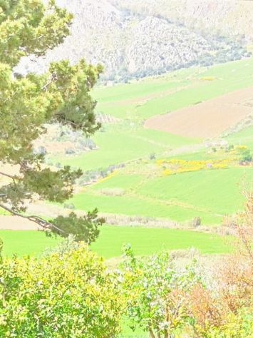 appartamento in affitto a Castellammare del Golfo in zona Balata di Baida