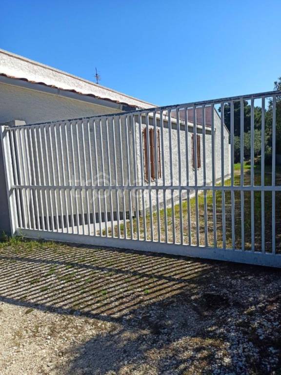 casa indipendente in affitto a Castellammare del Golfo in zona Scopello