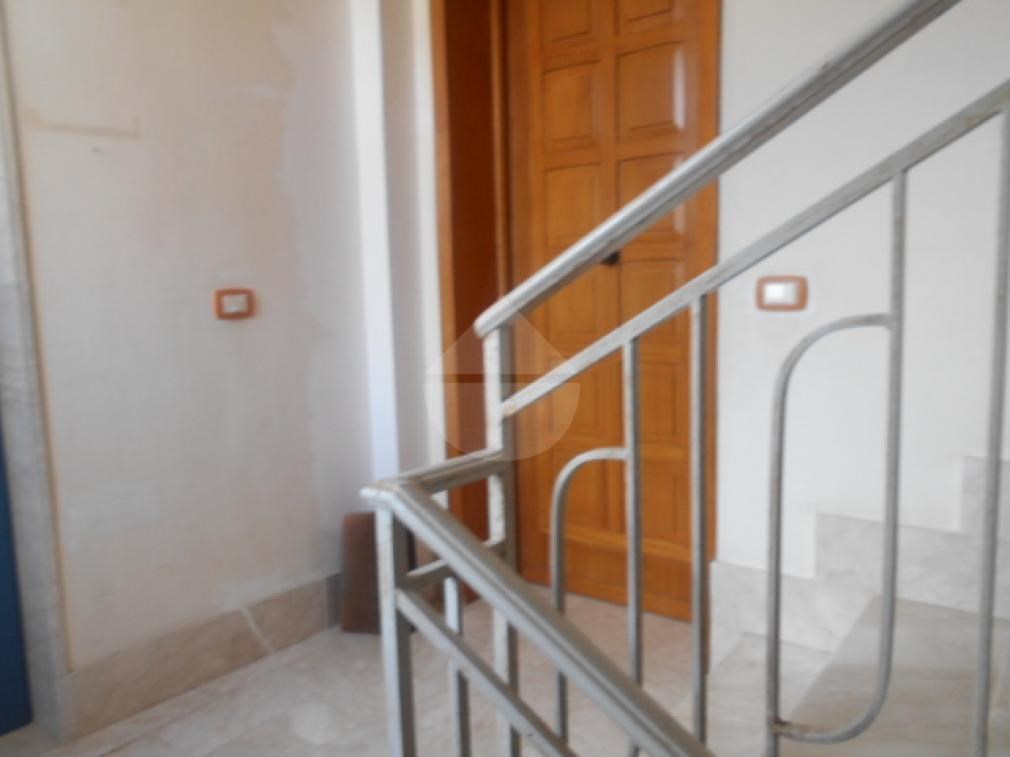 immagine annuncio 0 di 15