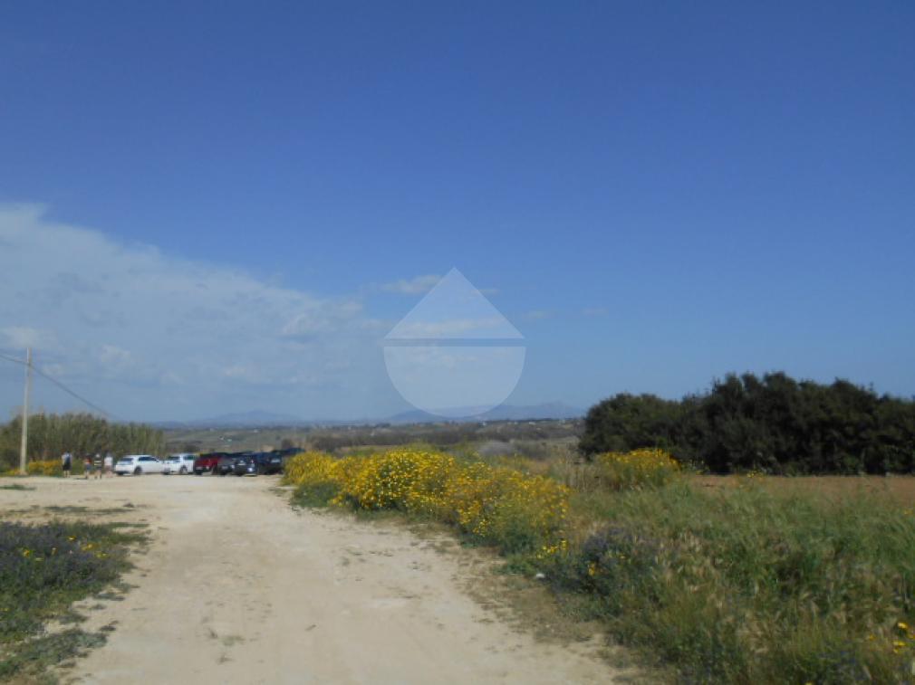 terreno agricolo in affitto a Castelvetrano