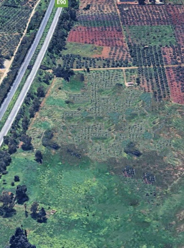 terreno agricolo in affitto a Castelvetrano in zona Marinella di Selinunte