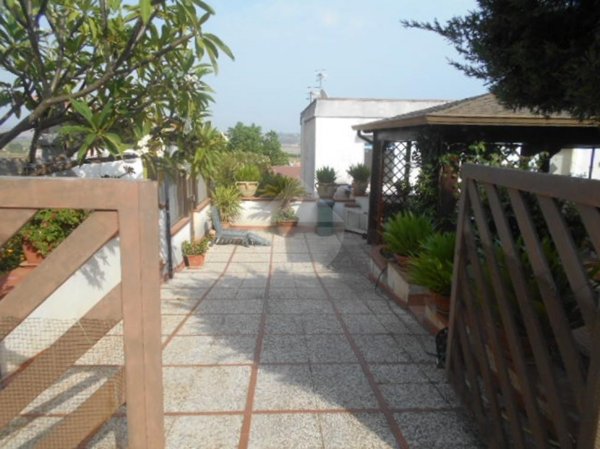 appartamento in affitto a Castelvetrano in zona Marinella di Selinunte