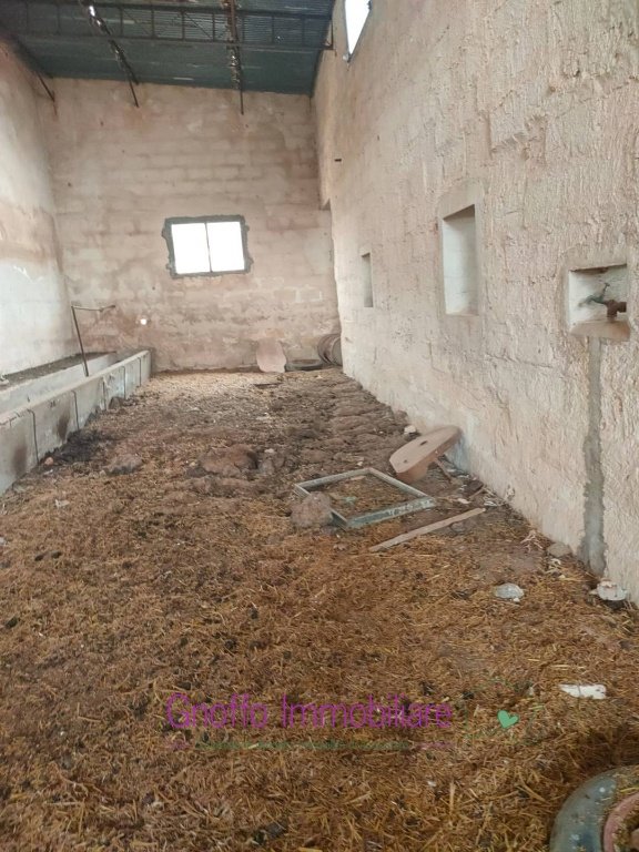 appartamento in affitto a Custonaci in zona Purgatorio