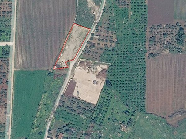 terreno agricolo in affitto a Custonaci