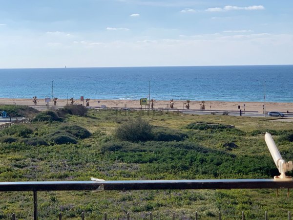 appartamento in affitto ad Erice