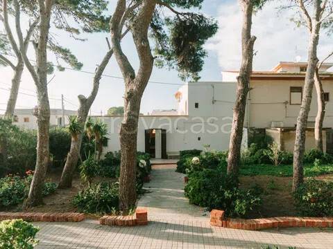 casa indipendente in affitto ad Erice in zona Pizzolungo