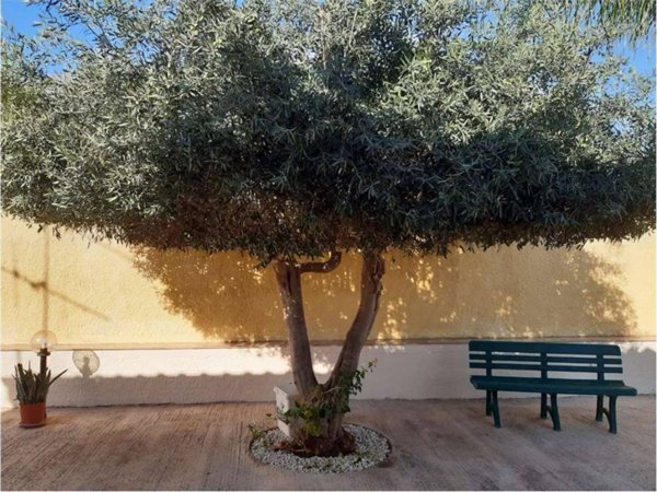 casa indipendente in affitto a Marsala