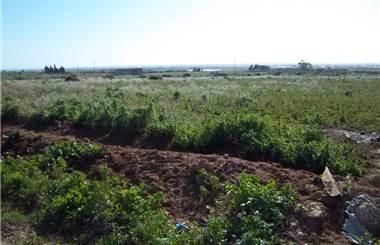 casale in affitto a Marsala