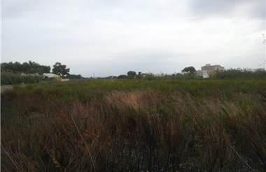 terreno agricolo in affitto a Marsala