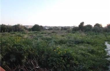 terreno agricolo in affitto a Marsala