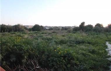 terreno agricolo in affitto a Marsala