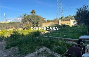 terreno agricolo in affitto a Marsala