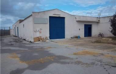 terreno agricolo in affitto a Marsala
