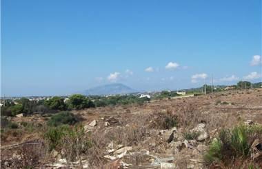 terreno agricolo in affitto a Marsala