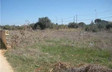 terreno agricolo in affitto a Marsala