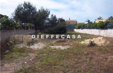terreno agricolo in affitto a Marsala