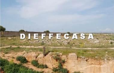 terreno agricolo in affitto a Marsala