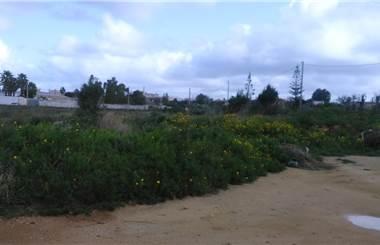 terreno agricolo in affitto a Marsala