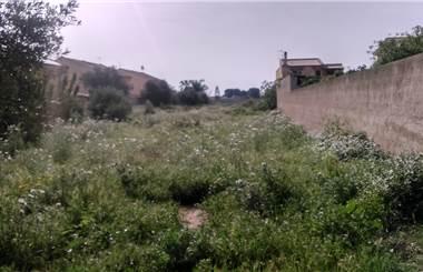 terreno agricolo in affitto a Marsala