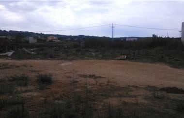 terreno agricolo in affitto a Marsala