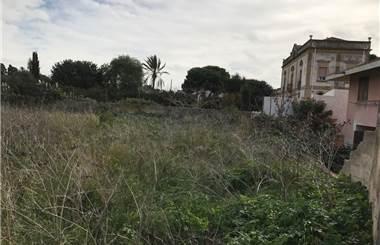 terreno agricolo in affitto a Marsala