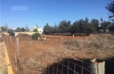 terreno agricolo in affitto a Marsala