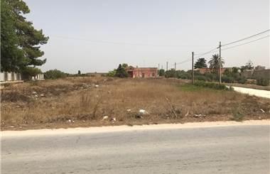 terreno agricolo in affitto a Marsala