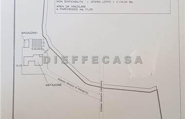 terreno agricolo in affitto a Marsala