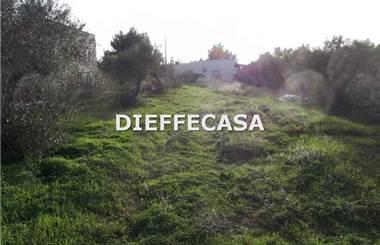 terreno agricolo in affitto a Marsala
