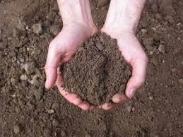 terreno agricolo in affitto a Marsala
