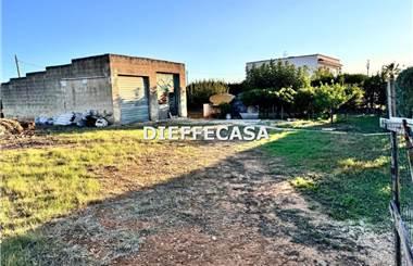 terreno agricolo in affitto a Marsala