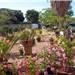 appartamento in affitto a Marsala