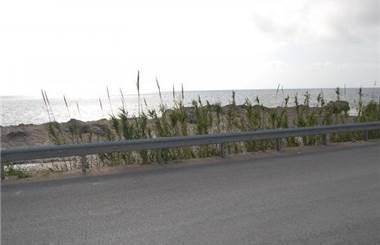 terreno agricolo in affitto a Marsala
