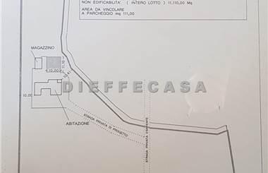 terreno agricolo in affitto a Marsala