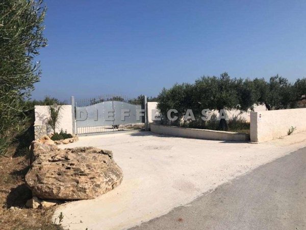 terreno agricolo in affitto a Marsala