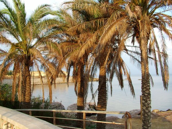 appartamento in affitto a Marsala