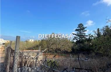 terreno agricolo in affitto a Marsala in zona Birgi