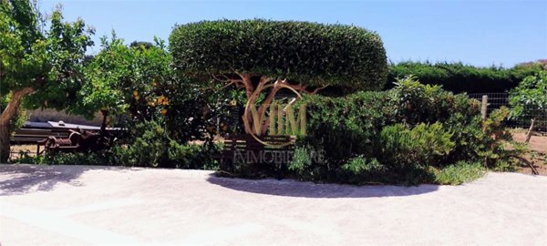 casa indipendente in affitto a Marsala