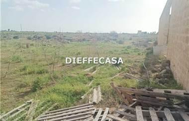 terreno agricolo in affitto a Mazara del Vallo