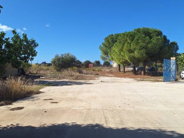 locale commerciale in affitto a Mazara del Vallo in zona Mazara Due