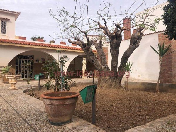 casa indipendente in affitto a Mazara del Vallo