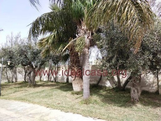 casa indipendente in affitto a Mazara del Vallo