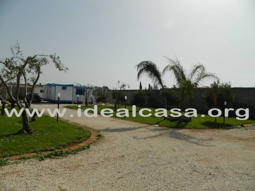 casa indipendente in affitto a Mazara del Vallo in zona Capo Feto
