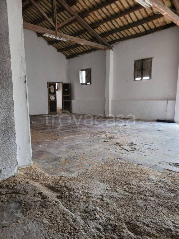 locale commerciale in affitto a Paceco