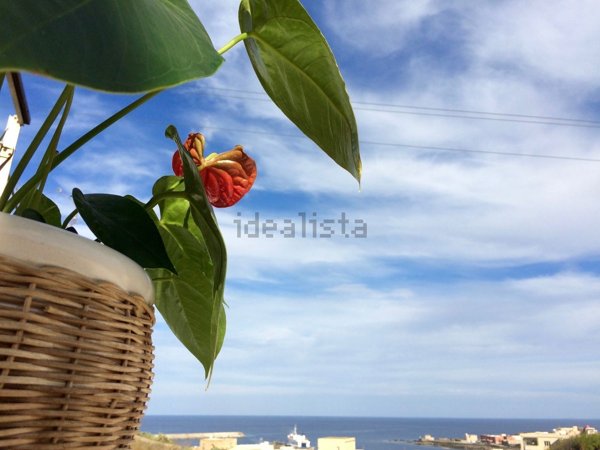 appartamento in affitto a Pantelleria