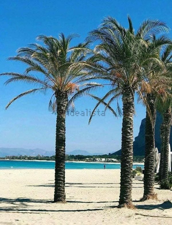 appartamento in affitto a San Vito Lo Capo