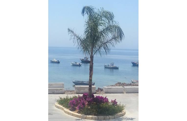 casa indipendente in affitto a Petrosino